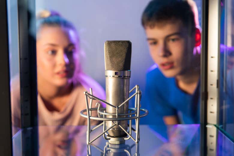 See the very microphones your favourite artists have used