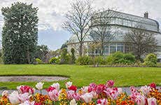 Dublin Travel Guide