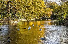 Dublin Travel Guide