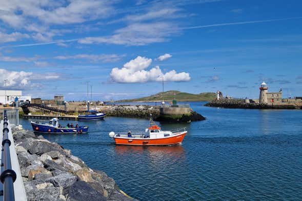 Boat Trip around Howth and Ireland's Eye